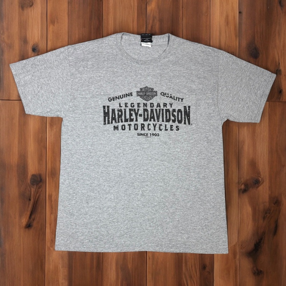 Harley-Davidson Motorcycles‎ Pocket T-Shirt Mens Large Gray Y2K